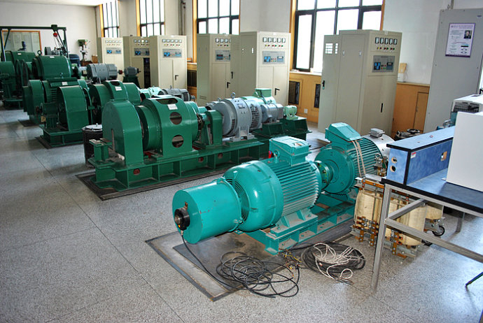 Y8009-4某热电厂使用我厂的YKK高压电机提供动力