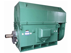 Y8009-4Y系列6KV高压电机